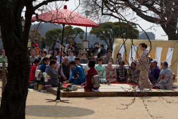 <p>Open-air tea ceremony</p>
