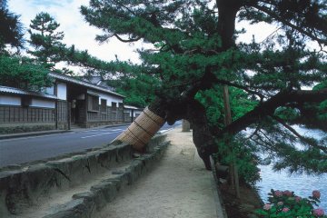 Samurai residences in Matsue city