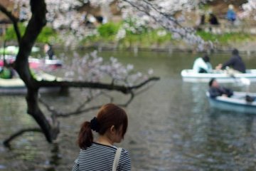 Jika Anda tidak ingin menyewa perahu, kenapa tidak coba untuk memandangi kolam yang cantik dan damai ini?