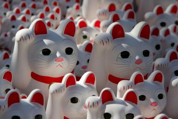 Maneki Neko, the 'lucky cat'