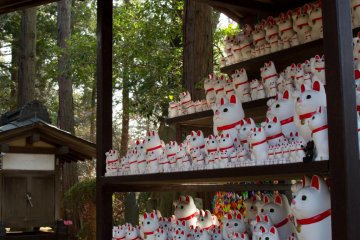 Hundreds of cat statues of different sizes are lined up in one area