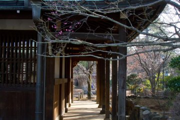 Lovely corridor along one of them