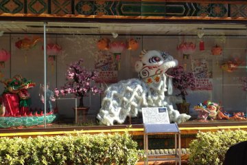 White dragon in showcase window
