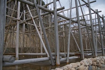 <p>Ici, l'eau de mer est pomp&eacute;e vers le haut et descend le long des branches que le vent s&egrave;che, concentrant ainsi le sel</p>
