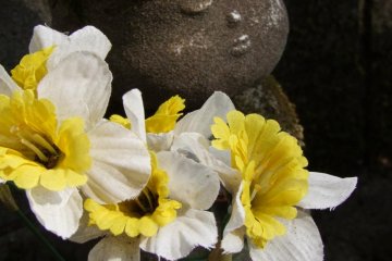 Some of the jizo have been here a long time, while others are much newer