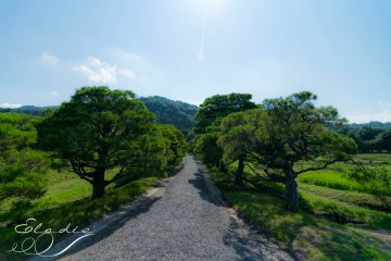 Allée pour rejoindre la Villa Supérieure 