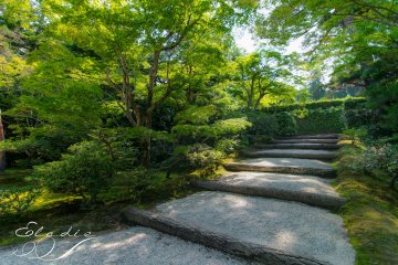 Escaliers dans le jardin