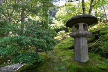 Jardin de la Villa Supérieure