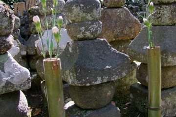 Bamboo has many uses in Japan