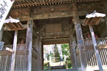 The gate, with the temple protectors