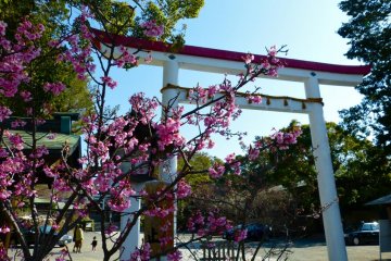 Kamakura-gu Shrine