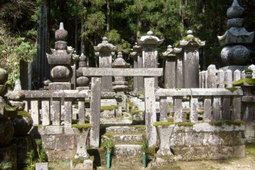 <p>Trees and foliage grow around all the graves</p>