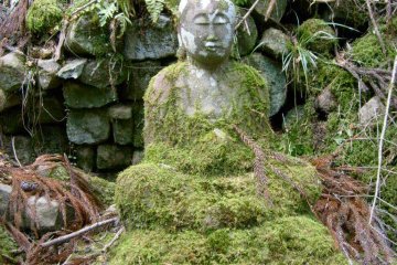 <p>Sometimes it seems that nature is trying to reclaim her territory</p>