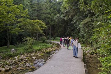 <p>L'aventure commence par une marche &agrave; travers la for&ecirc;t le long d'une petite rivi&egrave;re</p>
