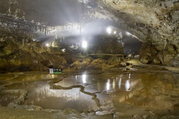 <p>Un millier de rizi&egrave;res dans une seule pi&egrave;ce</p>
