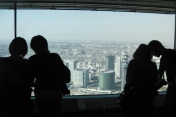 Sharing a peak at the world below