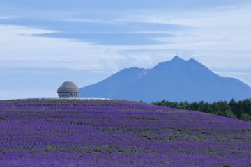 Buddha Hill in Makomanai
