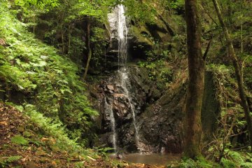 Shiraito Falls