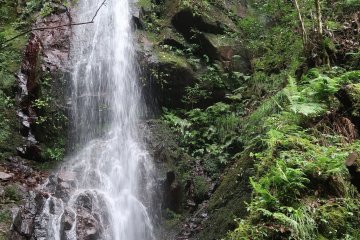 Shiraito Falls