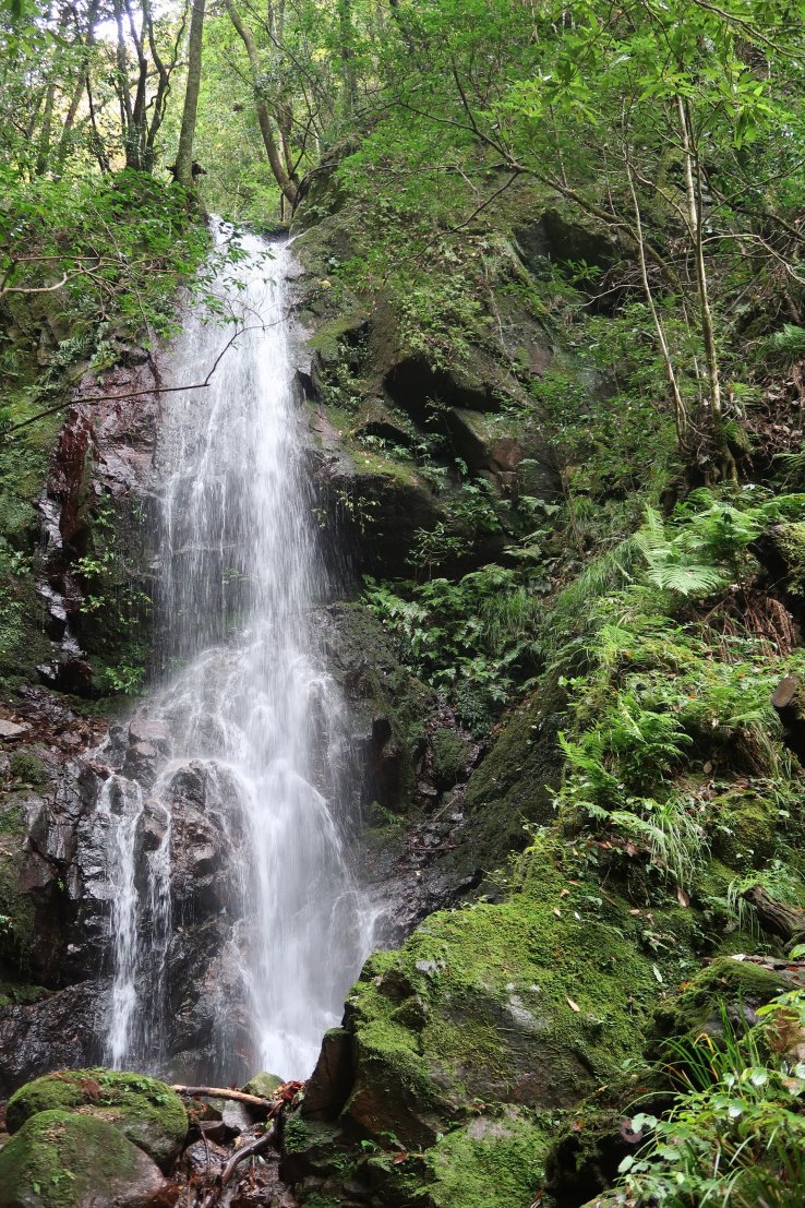 Shiraito Falls