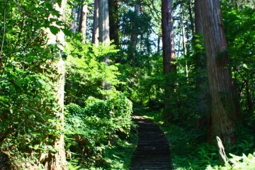 There are 2446 steps leading to the shrine complex at the summit - make sure to pace yourself!