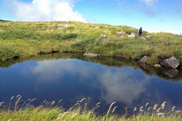 A number of small ponds dot the landscape.