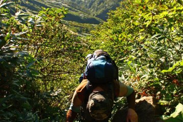 The final stretch involves scrambling down some steep ladders - not for the faint-hearted! If you have time, you can enter the shrine at the base, the holiest of the Dewa Sanzan, and paddle around a sacred orange rock. Make sure to take off your shoes!