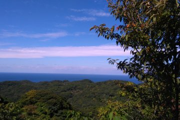 On Mount Mitake 