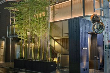 Bamboo trees light up Omotesando