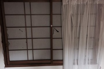 Window