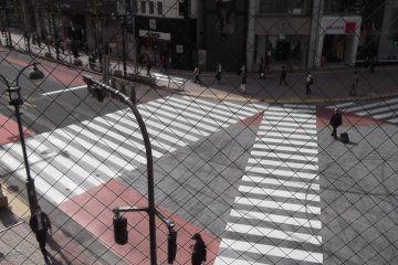 My view of the crossing