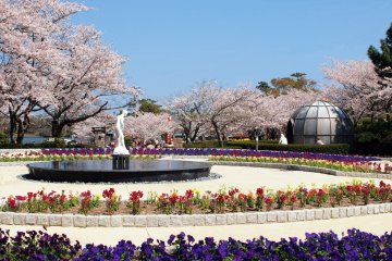Spring Festivals in Yamaguchi
