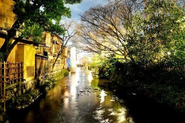 Shirakawa gushing by the back of the ochayas or tea houses of Gion