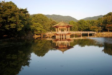 Cycling Nara