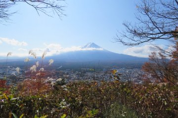 Fuji-San in the Fall
