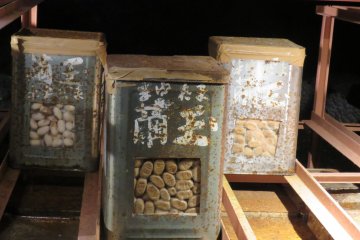 Silkworm breeding in Wind Cave