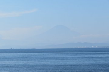 Mt Fuji in the background