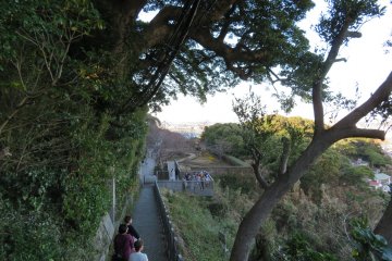 One of many walking paths on the Island