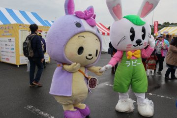 Chiryuppi, the forerunner before event day, on the left