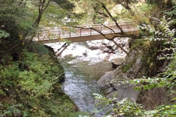 Bridge along the trail