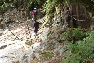 The Trail