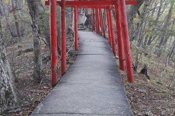 Les temples à Nikko