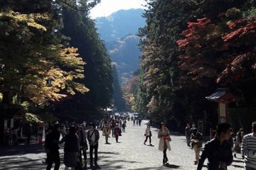 Magnifique promenade et bonne bouffée d'air frais !