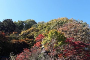 Le Koyo à Nikko