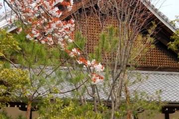 Temple grounds