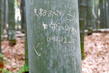 Bamboo love #2