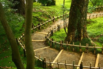 A path curves elegantly through a luscious lawn of moss.