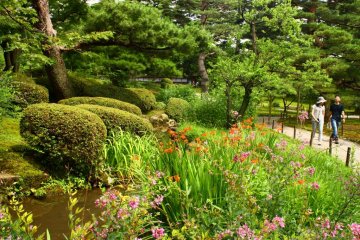 Summer flowers add a splash of colour to this path.