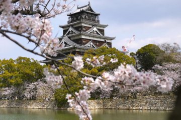 Hiroshima-jo (Hiroshima castle) shown surrounded by blossoms as seen from across the moat