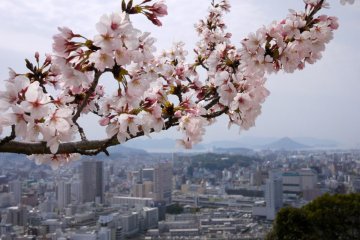 There are outstanding views from the peace pagoda over the city and out to the islands in the seto-naikai beyond